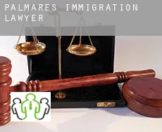 Palmares  immigration lawyer