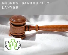 Ambrus  bankruptcy lawyer