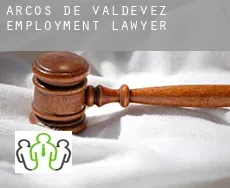 Arcos de Valdevez  employment lawyer