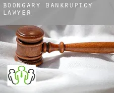 Boongary  bankruptcy lawyer