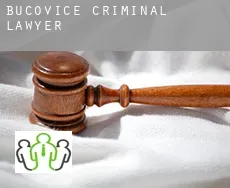 Bučovice  criminal lawyer