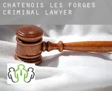 Châtenois-les-Forges  criminal lawyer