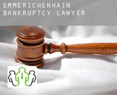 Emmerichenhain  bankruptcy lawyer