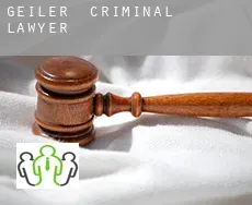 Geißler  criminal lawyer