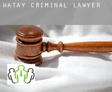 Hatay  criminal lawyer