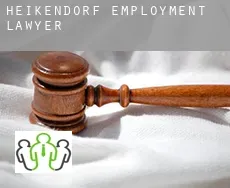Heikendorf  employment lawyer