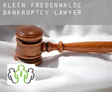Klein Fredenwalde  bankruptcy lawyer