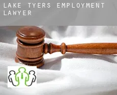Lake Tyers  employment lawyer