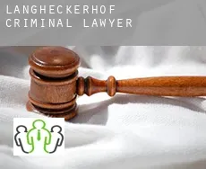 Langheckerhof  criminal lawyer