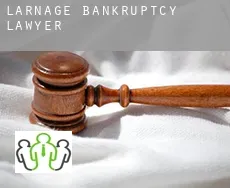Larnage  bankruptcy lawyer