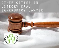 Other cities in Ustecky kraj  bankruptcy lawyer