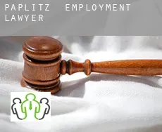 Paplitz  employment lawyer