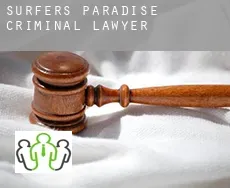 Surfers Paradise  criminal lawyer