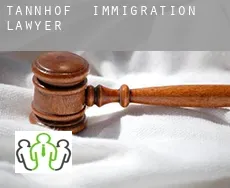 Tannhof  immigration lawyer