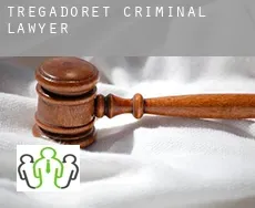 Trégadoret  criminal lawyer