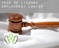 Vega de Liébana  employment lawyer