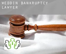 Weddin bankruptcy lawyer
