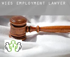 Wies  employment lawyer