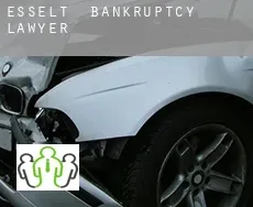 Esselt  bankruptcy lawyer