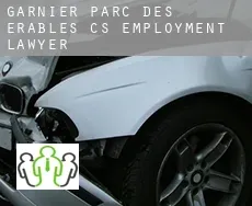 Garnier-Parc-des-Érables (census area)  employment lawyer