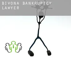 Bivona bankruptcy lawyer