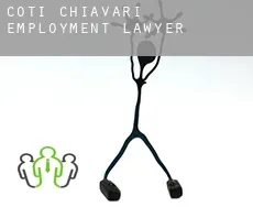 Coti-Chiavari  employment lawyer