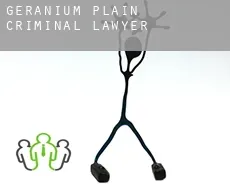 Geranium Plain  criminal lawyer