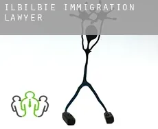 Ilbilbie  immigration lawyer