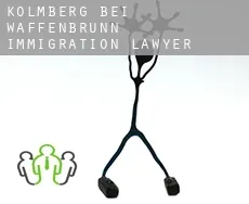 Kolmberg bei Waffenbrunn  immigration lawyer