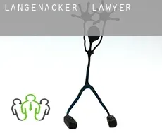 Langenacker lawyer