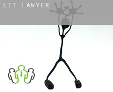 Lit  lawyer