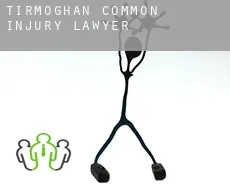 Tirmoghan Common  injury lawyer