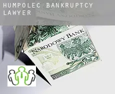 Humpolec  bankruptcy lawyer