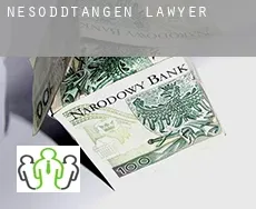 Nesoddtangen lawyer