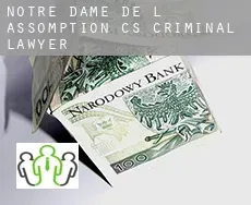 Notre-Dame-de-l'Assomption (census area)  criminal lawyer