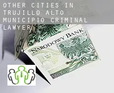 Other cities in Trujillo Alto Municipio  criminal lawyer