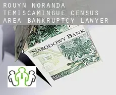 Rouyn-Noranda -Témiscamingue (census area)  bankruptcy lawyer