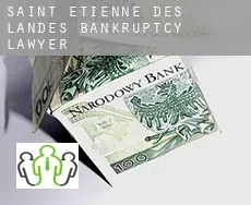 Saint-Étienne-des-Landes  bankruptcy lawyer