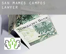 San Mamés de Campos  lawyer