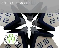 Aneby Municipality  lawyer