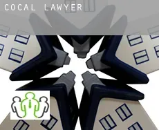 Cocal  lawyer