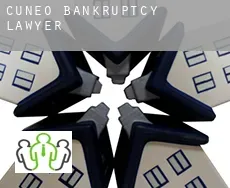 Provincia di Cuneo  bankruptcy lawyer