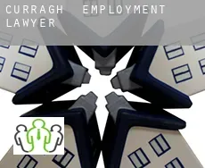 Curragh  employment lawyer