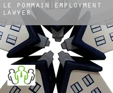 Le Pommain  employment lawyer