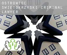 Ostrowiec Świętokrzyski criminal lawyer