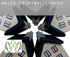 Walpa  criminal lawyer