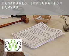 Cañamares  immigration lawyer