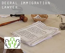 Deeral  immigration lawyer