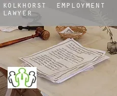 Kolkhorst  employment lawyer