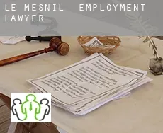 Le Mesnil  employment lawyer